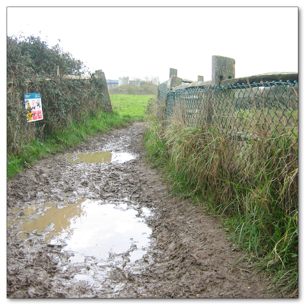 Manor Farm, 