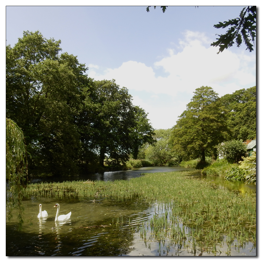 Fishbourne Mill Pond, Fishbourne Mill Pond