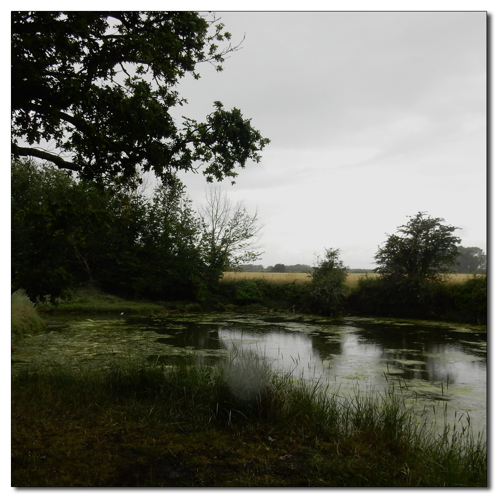 Raindrops on the camera lens, 
