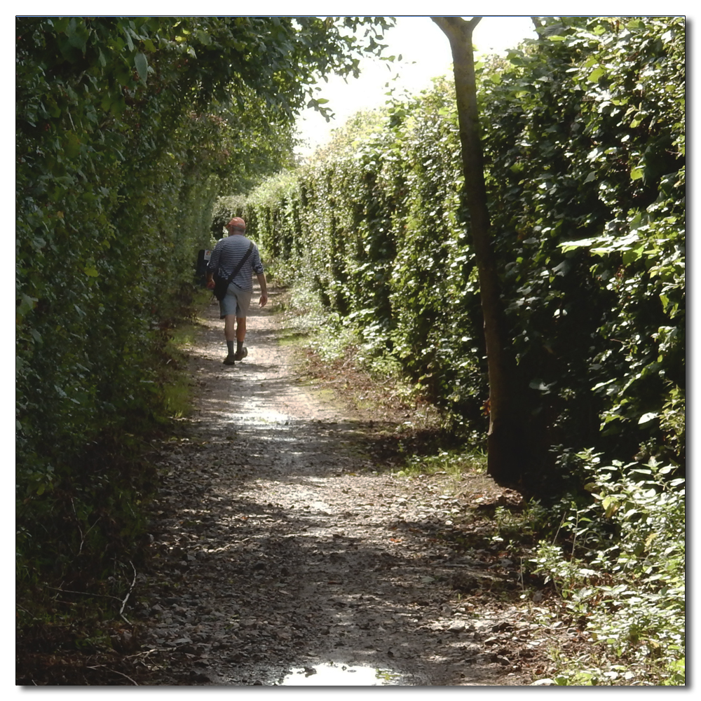 Fruit Picking, 