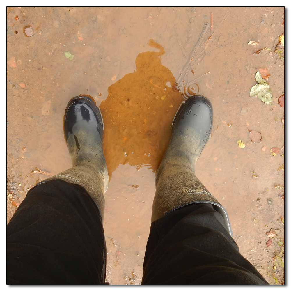 A Wet Welly Walk, 