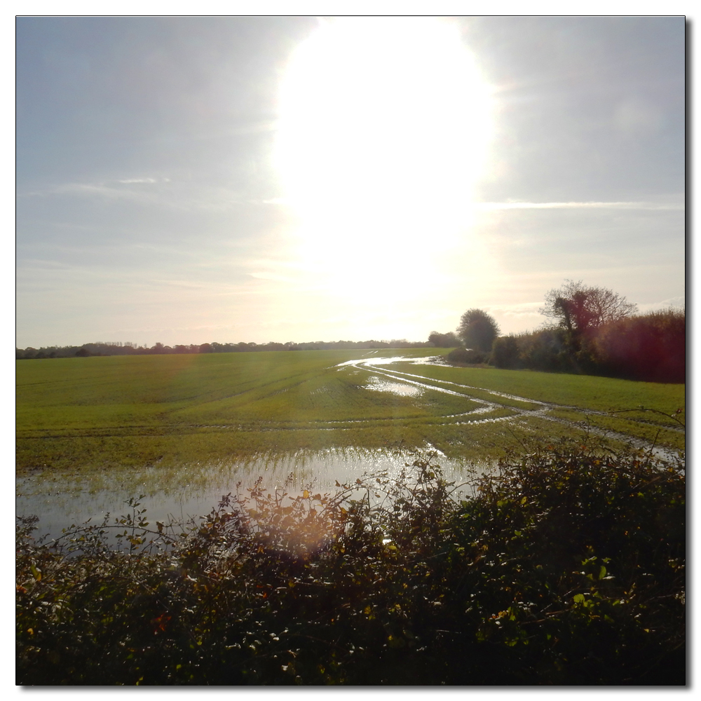 Blue skys and boats, Sodden fields