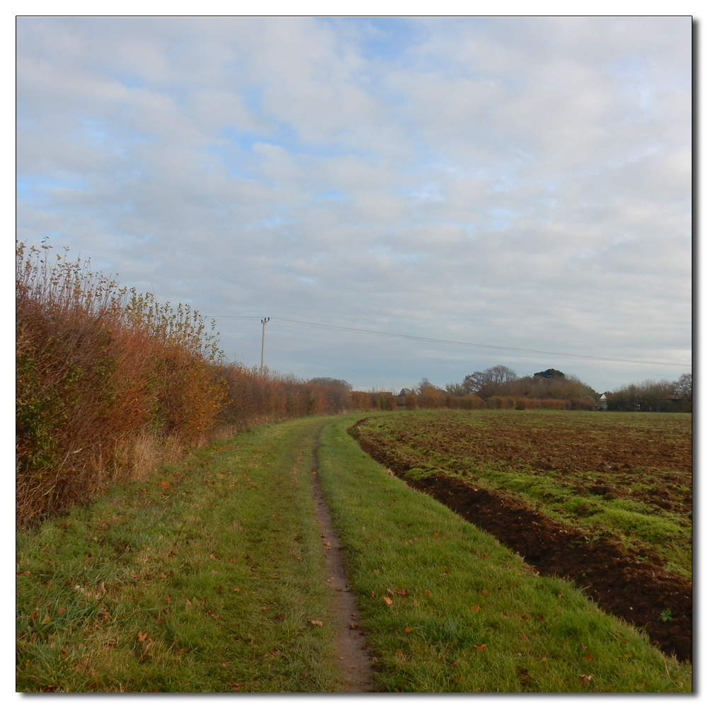 Soft light over Fishbourne Channel, 