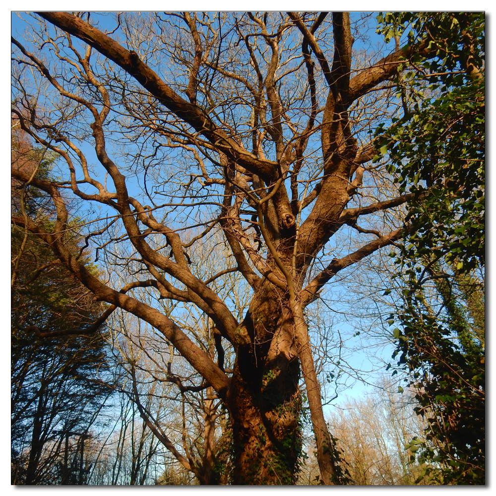 Two Church Walk, 
