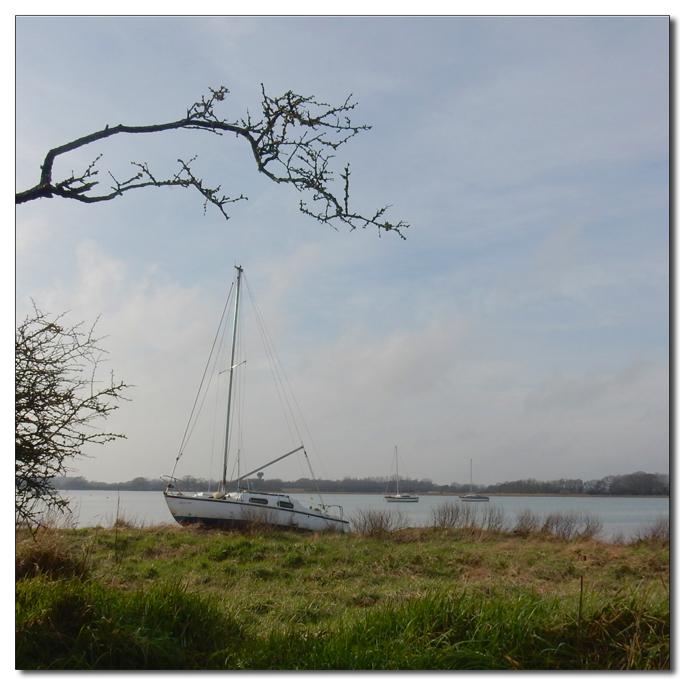 The Mist has gone, 