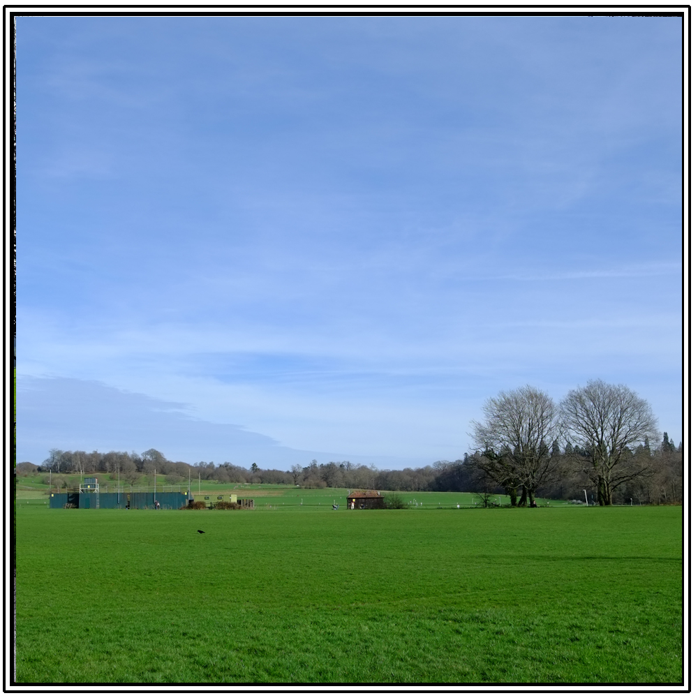 Cowdray Ruins, Easebourne, 