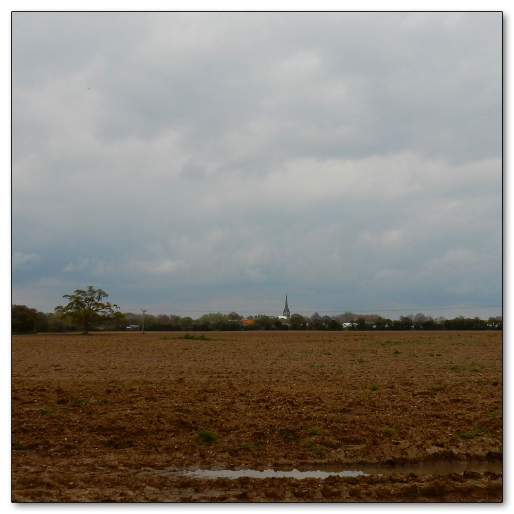 Fields Prepared, Chichester Cathedrial
