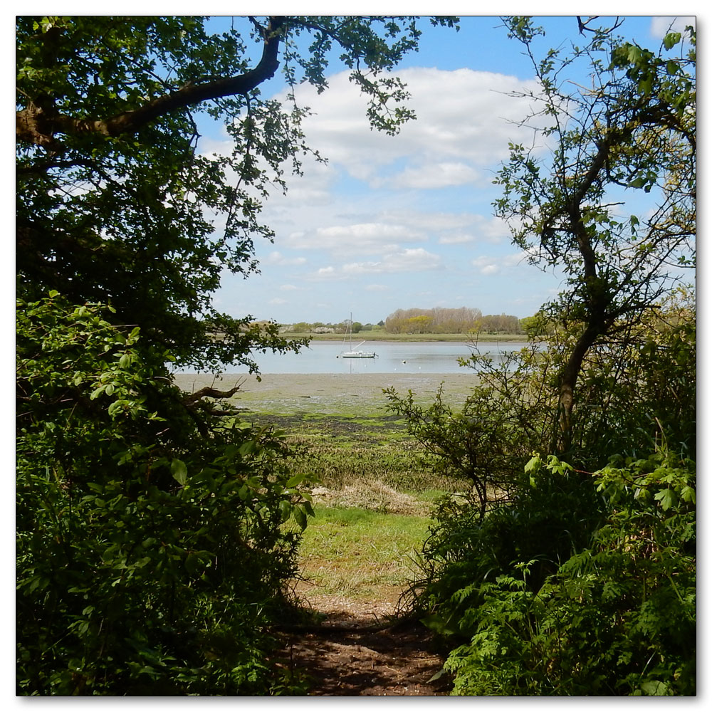 Fishbourne Channel, 