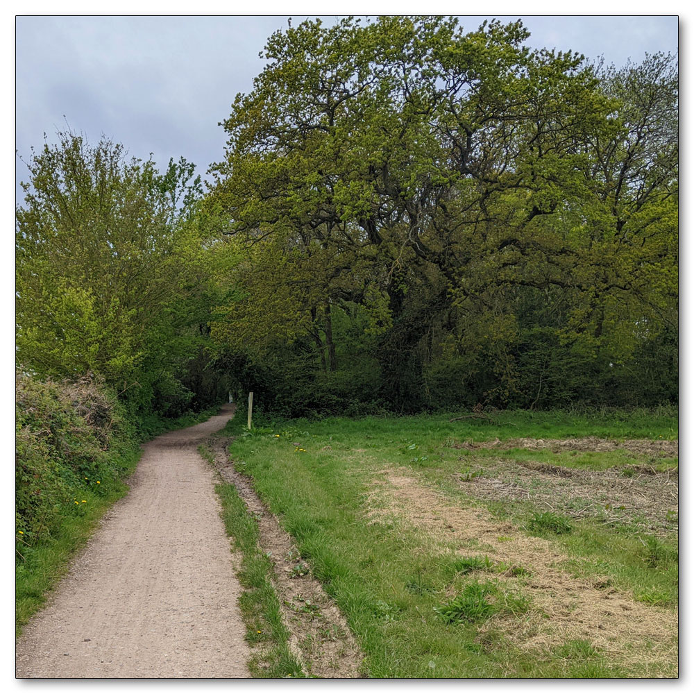 Around Apuldram Airfield, Salterns Copse entrance