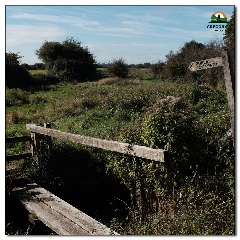 High tide on Fishbourne Channel, 