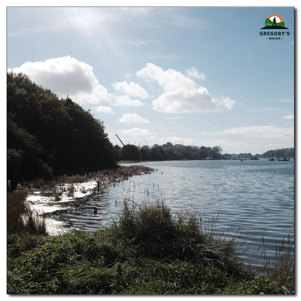 High tide on Fishbourne Channel, 