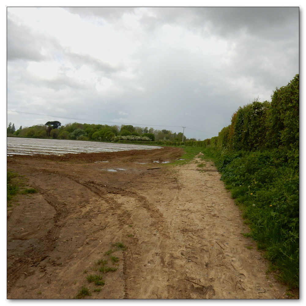 Walk to Fishbourne Channel, Walk with me to Fishbourne Channel