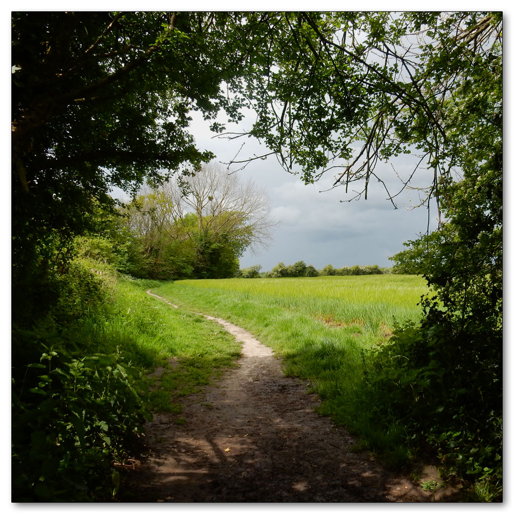 Walk to Fishbourne Channel, 