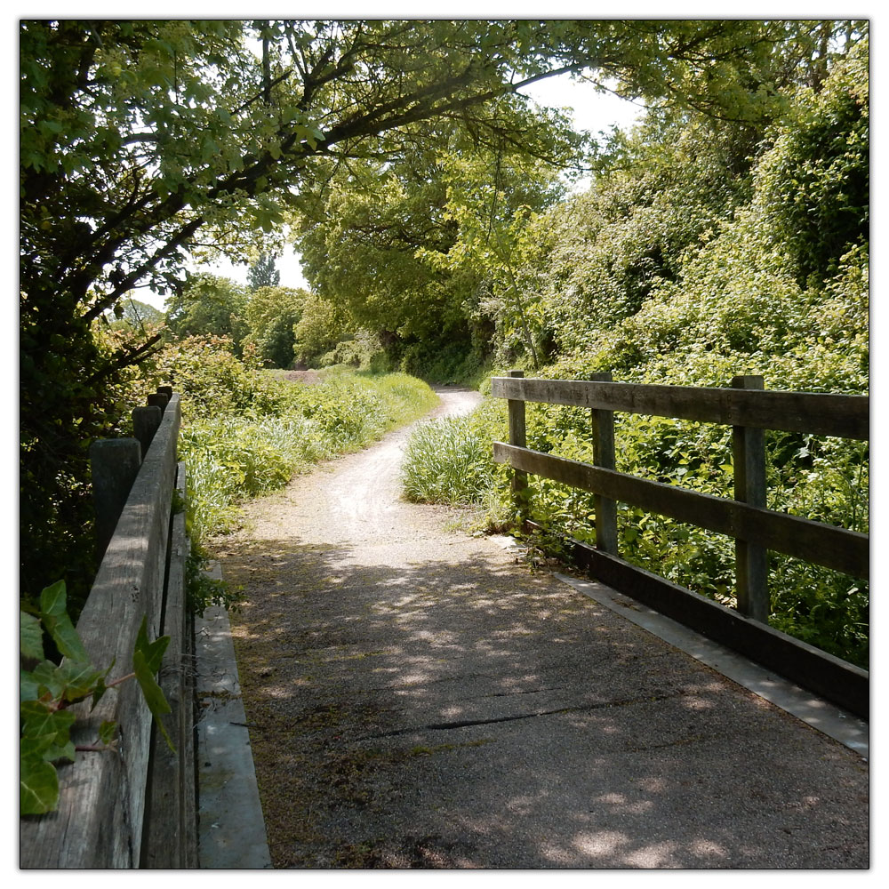 Fishbourne Meadow, 