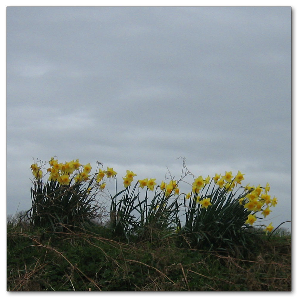 Dell Quay, 
