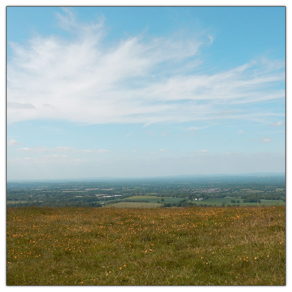 Chanctonbury Ring, 