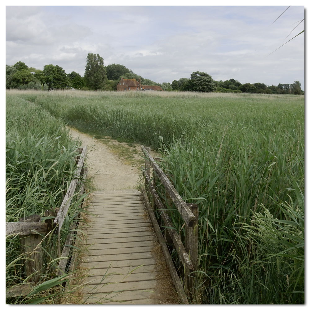 The Bridges of Fishbourne, 