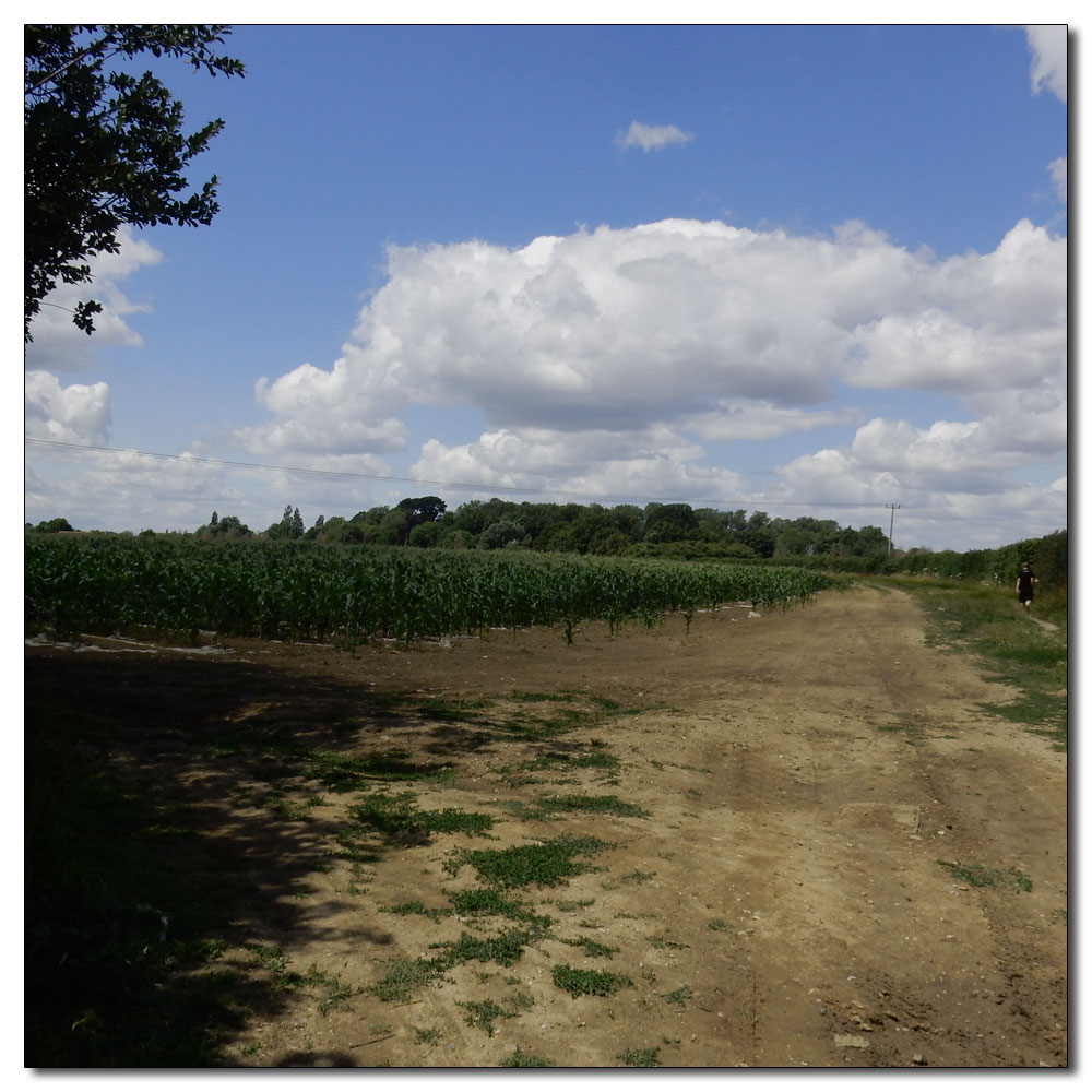 Run No 92 (3.5k), 