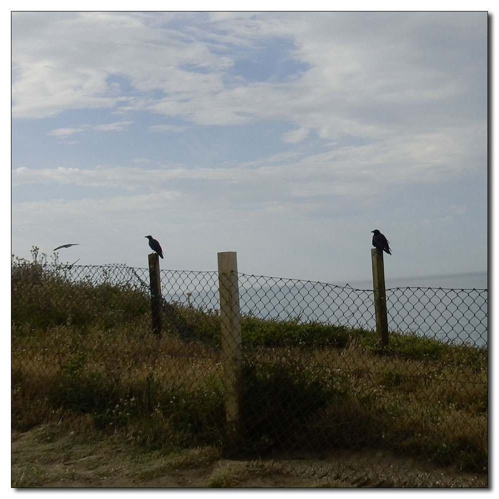 Seaford Head to Alfriston, 