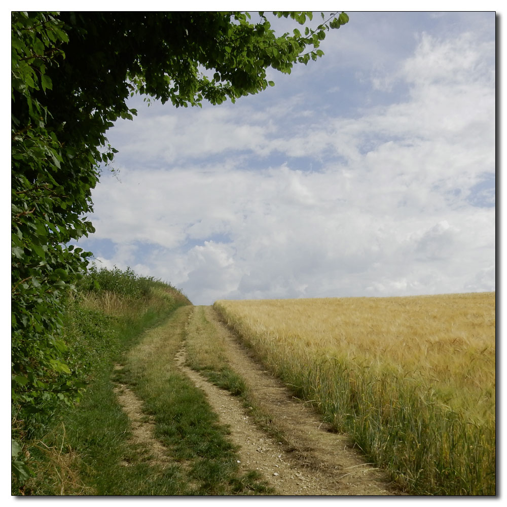 Seaford Head to Alfriston, 