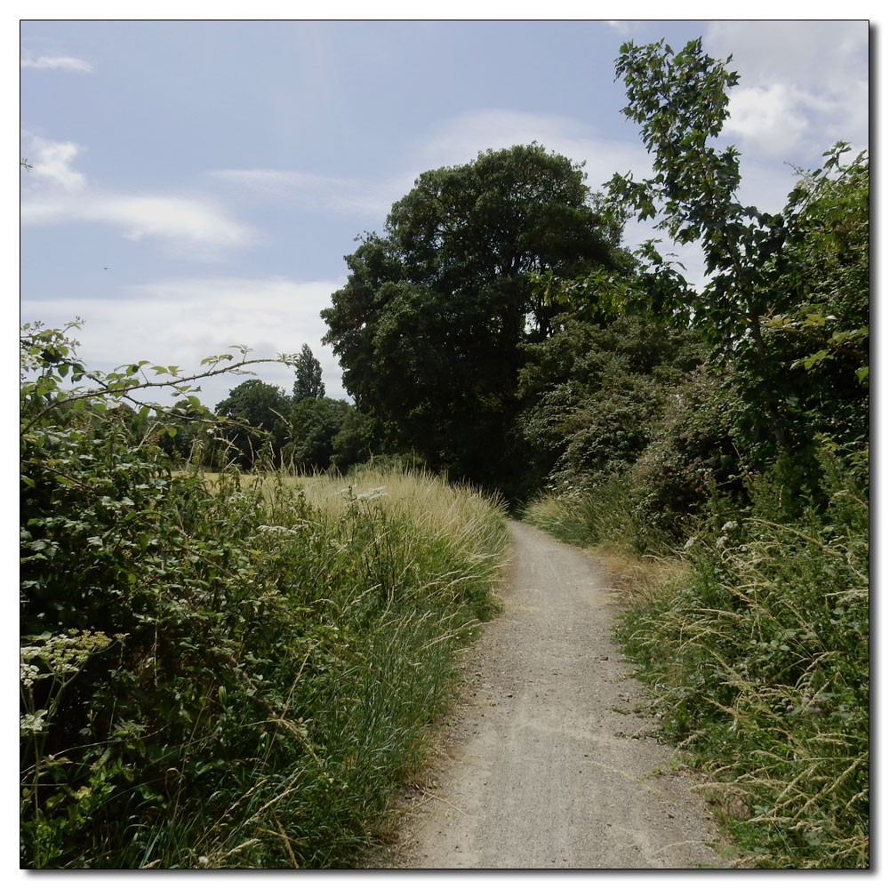 Fishbourne Meadow, 